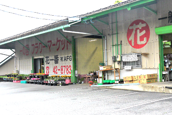 写真：花屋の外観