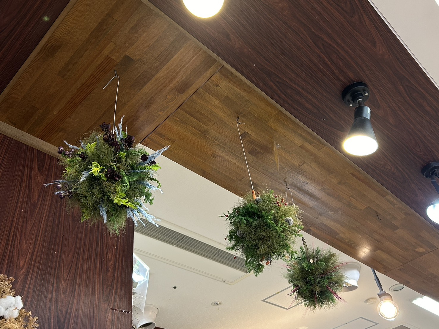 写真：ドライフラワー